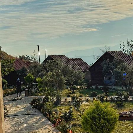 Luna Home Club Samandag Luaran gambar